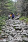 DSC_206.jpg